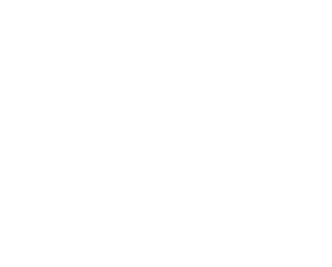DogTown logo in white trim version